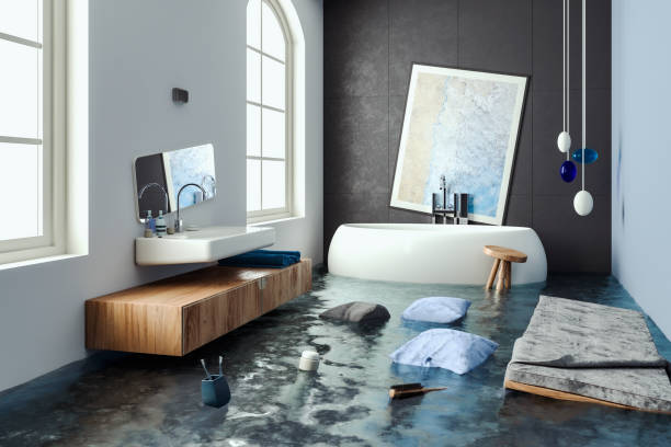 Best Professional water damage repair  in Lagrange, GA