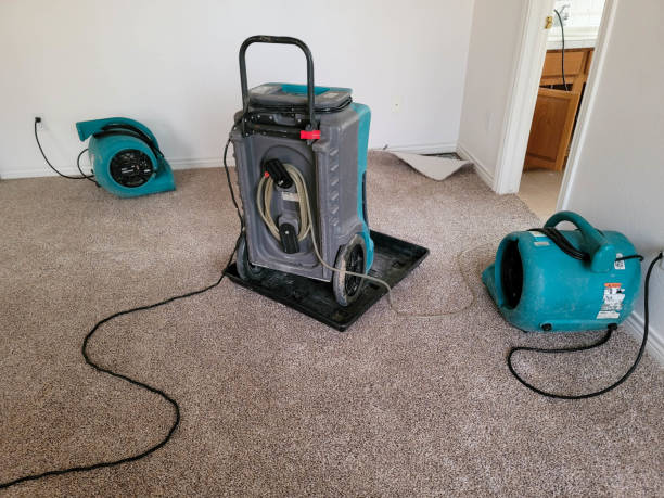 Best Flood restoration services  in Lagrange, GA