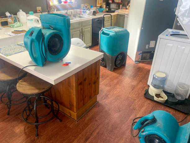 Best Water damage cleanup near me  in Lagrange, GA