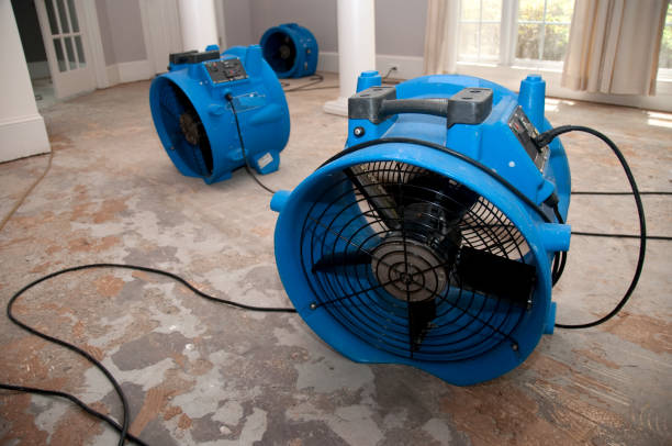 Best Basement water damage restoration  in Lagrange, GA