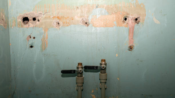 Best Water damage contractors near me  in Lagrange, GA