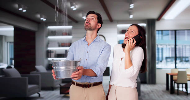 Best Carpet water damage restoration  in Lagrange, GA