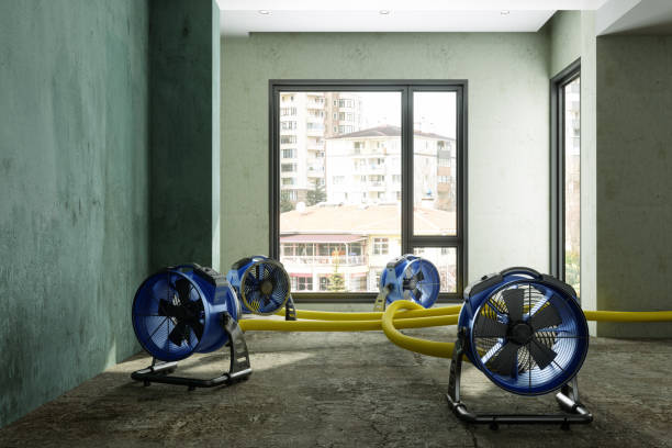 Best Water damage restoration mold remediation  in Lagrange, GA